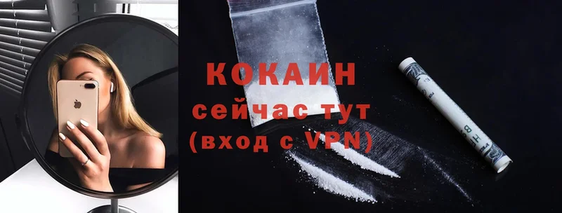 COCAIN FishScale  Кашин 